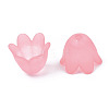 Transparent Acrylic Bead Caps FACR-N005-002G-4