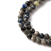 Natural Lapis Lazuli Beads Strands G-L629-B01-3mm-01-4