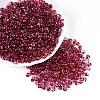 6/0 Gradient Color Glass Seed Beads SEED-N007-36J-1