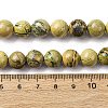 Natural Verdite Stone Beads Strands G-C242-03-10mm-5