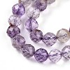 Natural Purple Lodolite Quartz/Purple Phantom Quartz Beads Strands G-T140-21A-4