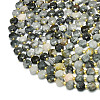 Natural Eagle Eye Stone Beads Strands G-C116-A41-02-3