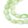 Natural Trochus Shell Beads Strands X-SHEL-K006-19-01C-3