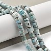 Natural Larimar Beads Strands G-Q024-B03-05-2