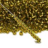 TOHO 6/0 Round Beads SEED-XTR06-0747-2