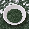 MIYUKI Delica Beads SEED-X0054-DB0797-2