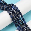 Natural Sodalite Beads Strands G-C080-B05-01A-4