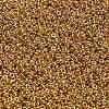 TOHO 6/0 Demi Round Beads SEED-DR06-PF557-2