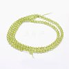 Natural Peridot Beads Strands LS-G-F460-52-2
