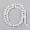 Electroplated Natural White Moonstone Beads Strands X-G-S369-012C-C-2