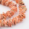 Natural Shell Bead Strands BSHE-P010-09-3