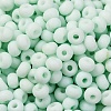 Baking Paint Glass Seed Beads SEED-C003-02I-3