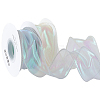 2 Rolls 2 Colors Polyester Organza Ribbon PAAG-CY0001-02-1