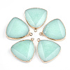 Electroplate Natural  Amazonite Pendants X-G-S344-14E-1