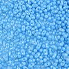 Baking Paint Glass Seed Beads SEED-L011-09A-06-3