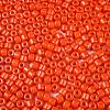 Opaque Baking Paint Glass Seed Beads SEED-T008-02J-3