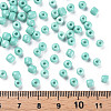 6/0 Glass Seed Beads SEED-N005-002A-H05-4