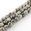 Dyed Natural Sesame Jasper Round Beads Strands G-R342-10mm-15-1