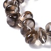 Natural Smoky Quartz Beads Strands G-B072-D01-02-5