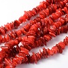 Natural Shell Beads Strands BSHE-D003-4-1