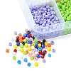 100G 10 Style Glass Seed Beads SEED-YW0002-41-2