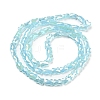 AB Color Plate Glass Beads Strands EGLA-P051-06B-C02-2