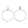 Non-Tarnish 316 Stainless Steel Earring Findings STAS-O149-05P-3