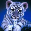 DIY 5D Animals Tiger Pattern Canvas Diamond Painting Kits DIY-C021-05-1