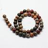 Natural Polychrome Jasper/Picasso Stone/Picasso Jasper Bead Strands G-O155-02B-8mm-2