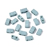 2-Hole Baking Paint Glass Seed Beads SEED-S023-17B-43-1