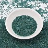 MIYUKI Delica Beads X-SEED-J020-DB2381-2