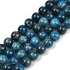 Natural Apatite Beads Strands G-I254-08D-2