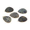 Natural Rhyolite Jasper Pendants G-E526-02L-1