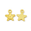 Rack Plating Alloy Charms FIND-G045-51MG-1