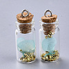 Glass Wishing Bottle Pendant Decorations X-GLAA-S181-09-2