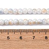 Glass Beads Strands LAMP-R020-04C-4