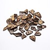 Dyed Chip Coconut Beads LS-X-COCO-N001-23A-1