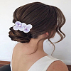 2Pcs Iron Alligator Hair Clips PHAR-LP0002-29C-1