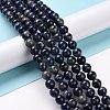 Natural Sodalite Beads Strands G-D481-12B-2