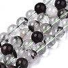 Natural Green Lodolite Quartz/Garden Quartz Beads Strands G-R460-002-10mm-1