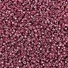 MIYUKI Delica Beads SEED-J020-DB0428-2