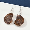 Fossil Spiral Dangle Earrings EJEW-P153-01-4