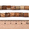 Natural Picture Jasper Beads Strands G-Q606-01A-01-5