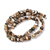 Natural Paua Shell Beads Strands BSHE-B007-03-2