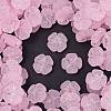 Frosted Transparent Acrylic Beads OACR-P029-19B-05-1
