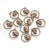Alloy Pendants LS-EA9508Y-AB-1