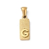 304 Stainless Steel Pendants STAS-Z120-03G-G-1