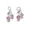 Brass Micro Pave Cubic Zirconia Charms ZIRC-I038-13P-1