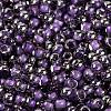 Glass Seed Beads SEED-A032-06W-3