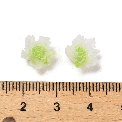 Luminous Resin Decoden Cabochons RESI-K036-06F-02-1